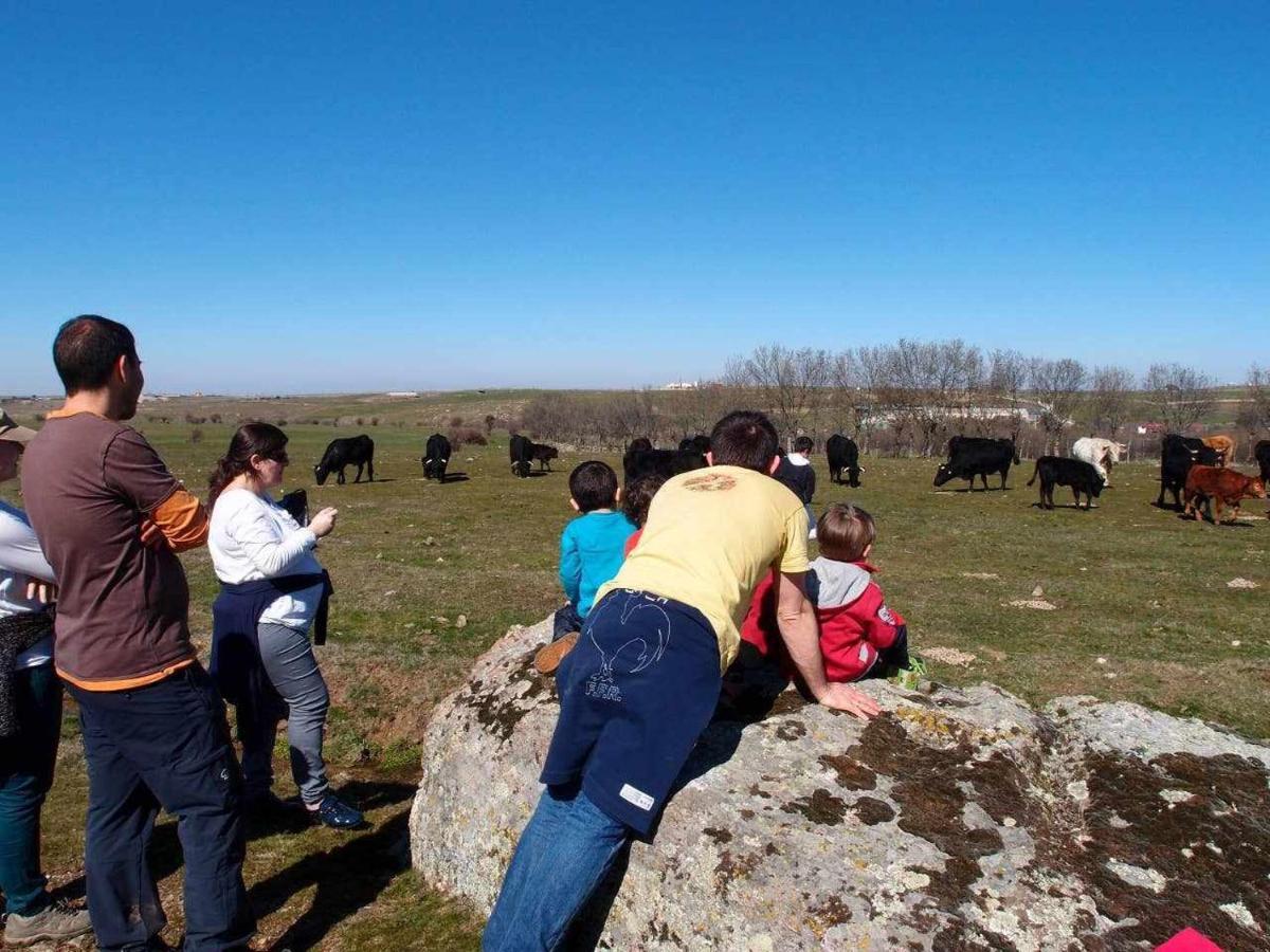 Agroturismo El Mirador De La Cigueena Cabanillas del Monte Ngoại thất bức ảnh